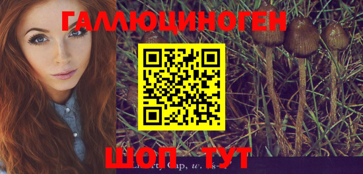 Галлюциногенные грибы Magic Shrooms  где купить наркотик  Бугуруслан  Вход с VPN  Псилоцибиновые грибы мицелий 